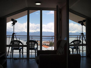 Hotel Neli Telavi